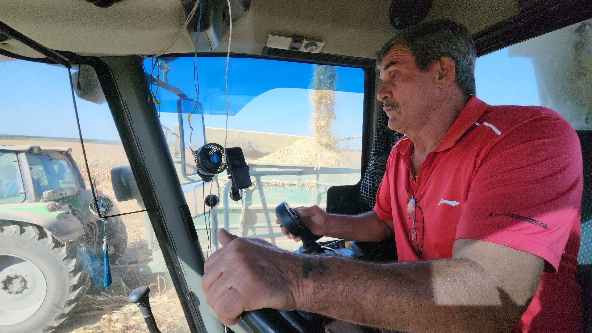 сельское хозяйство, руза, рузское молоко, сбор урожая, рузский городской округ, агрохолдинг рузское молоко, кукуруза,