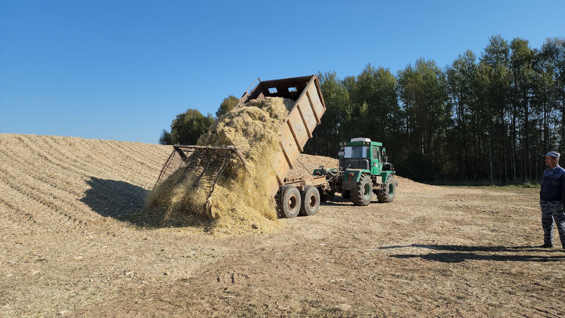 сельское хозяйство, руза, рузское молоко, сбор урожая, рузский городской округ, агрохолдинг рузское молоко, кукуруза,