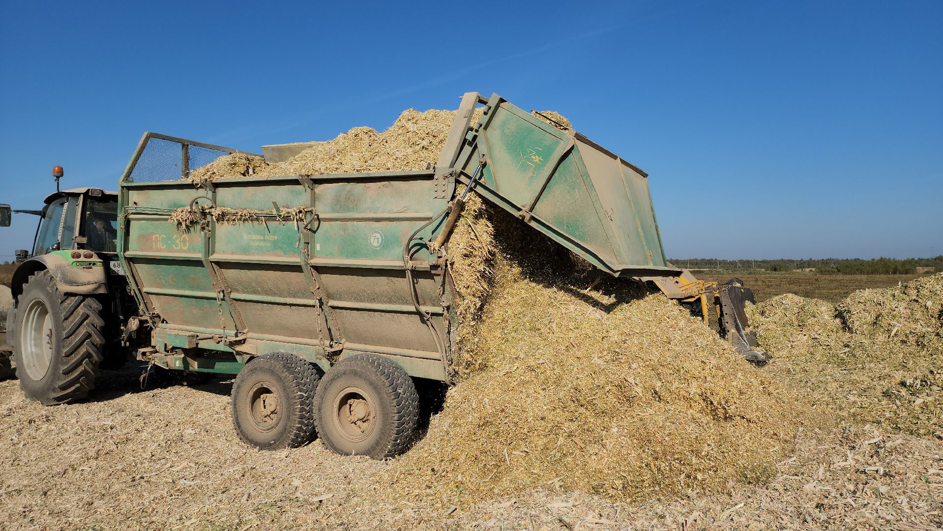 сельское хозяйство, руза, рузское молоко, сбор урожая, рузский городской округ, агрохолдинг рузское молоко, кукуруза,