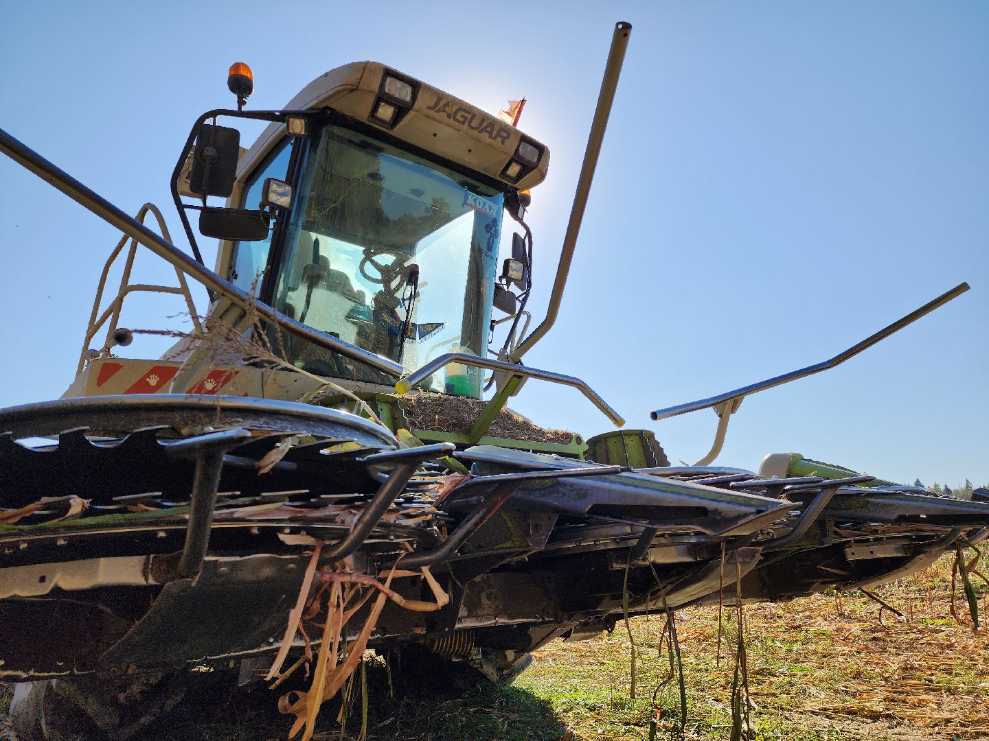 сельское хозяйство, руза, рузское молоко, сбор урожая, рузский городской округ, агрохолдинг рузское молоко, кукуруза,