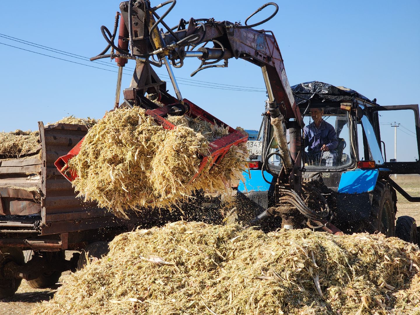 сельское хозяйство, руза, рузское молоко, сбор урожая, рузский городской округ, агрохолдинг рузское молоко, кукуруза,
