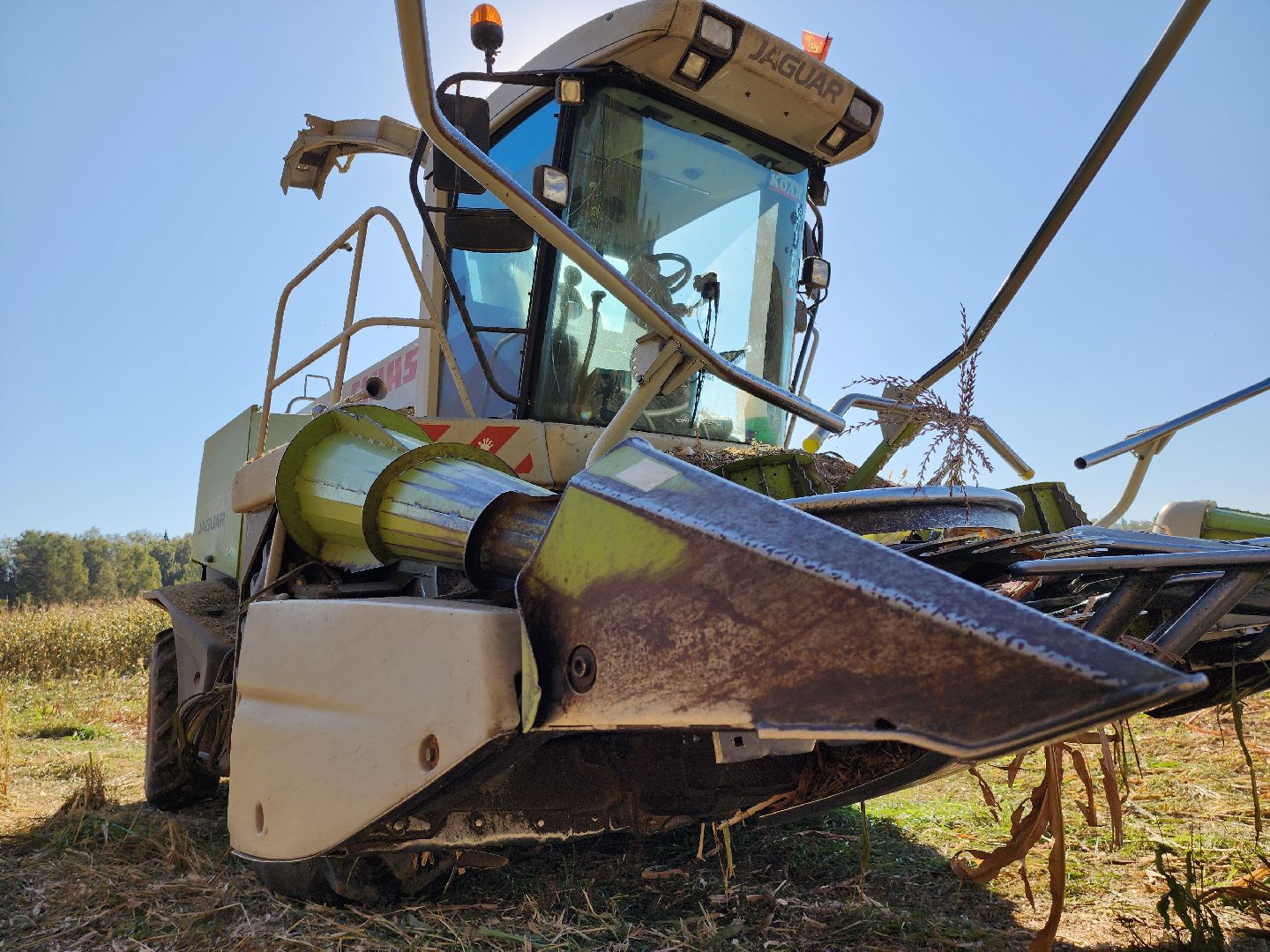 сельское хозяйство, руза, рузское молоко, сбор урожая, рузский городской округ, агрохолдинг рузское молоко, кукуруза,