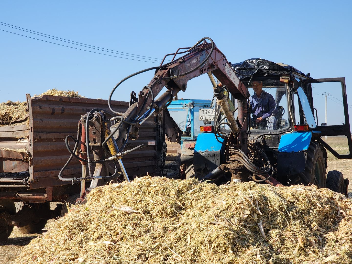 сельское хозяйство, руза, рузское молоко, сбор урожая, рузский городской округ, агрохолдинг рузское молоко, кукуруза,