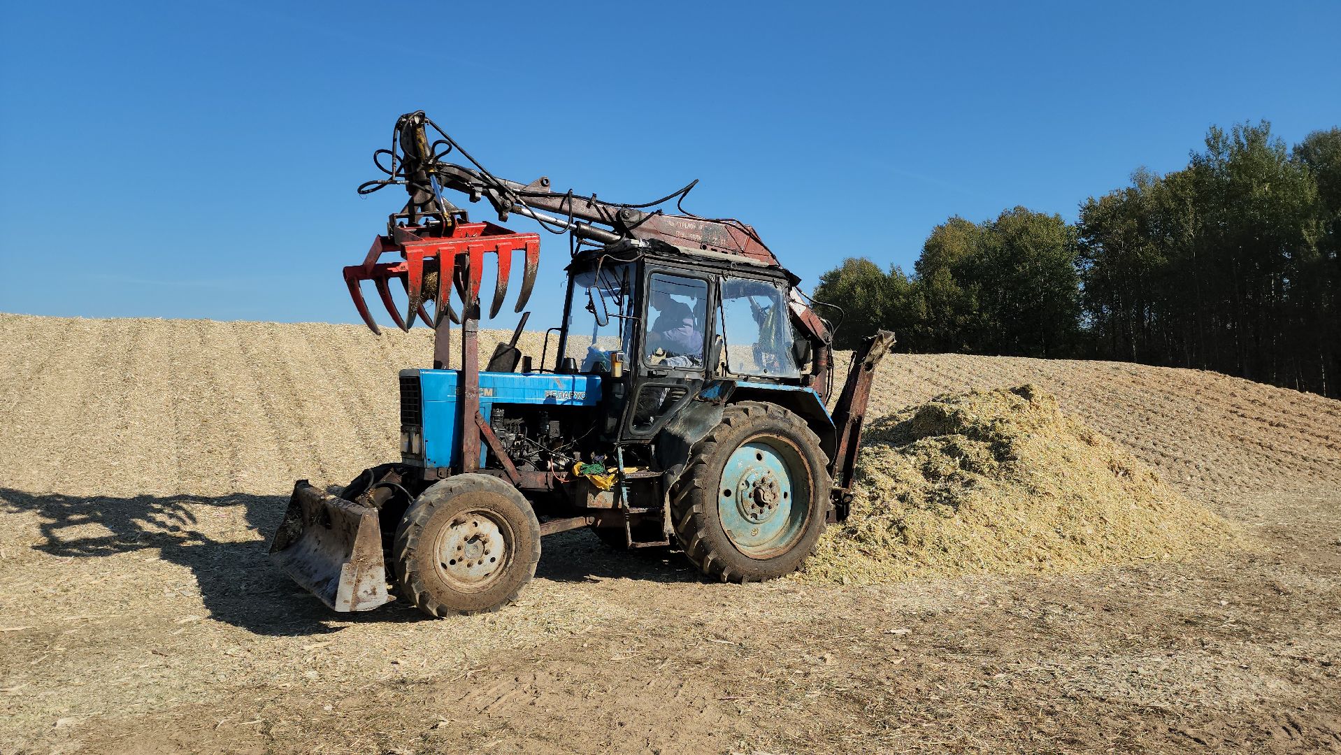 сельское хозяйство, руза, рузское молоко, сбор урожая, рузский городской округ, агрохолдинг рузское молоко, кукуруза,