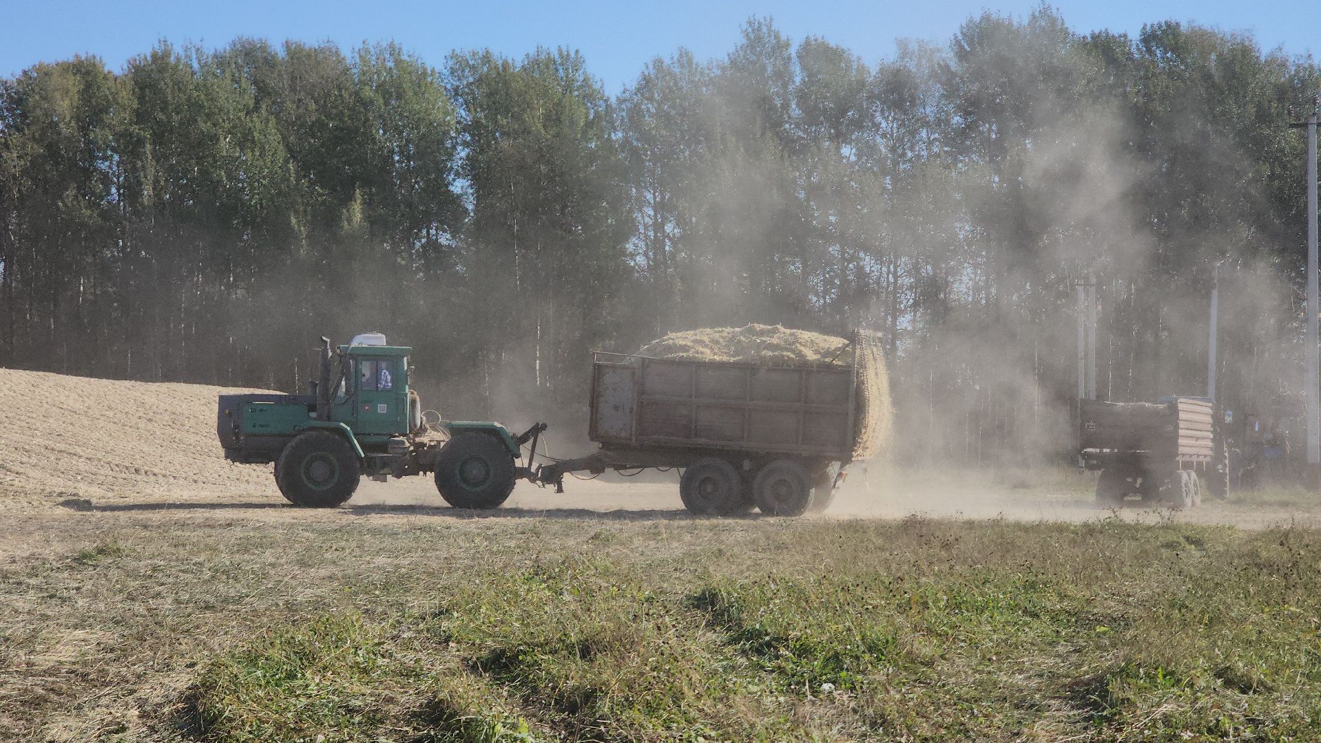 сельское хозяйство, руза, рузское молоко, сбор урожая, рузский городской округ, агрохолдинг рузское молоко, кукуруза,