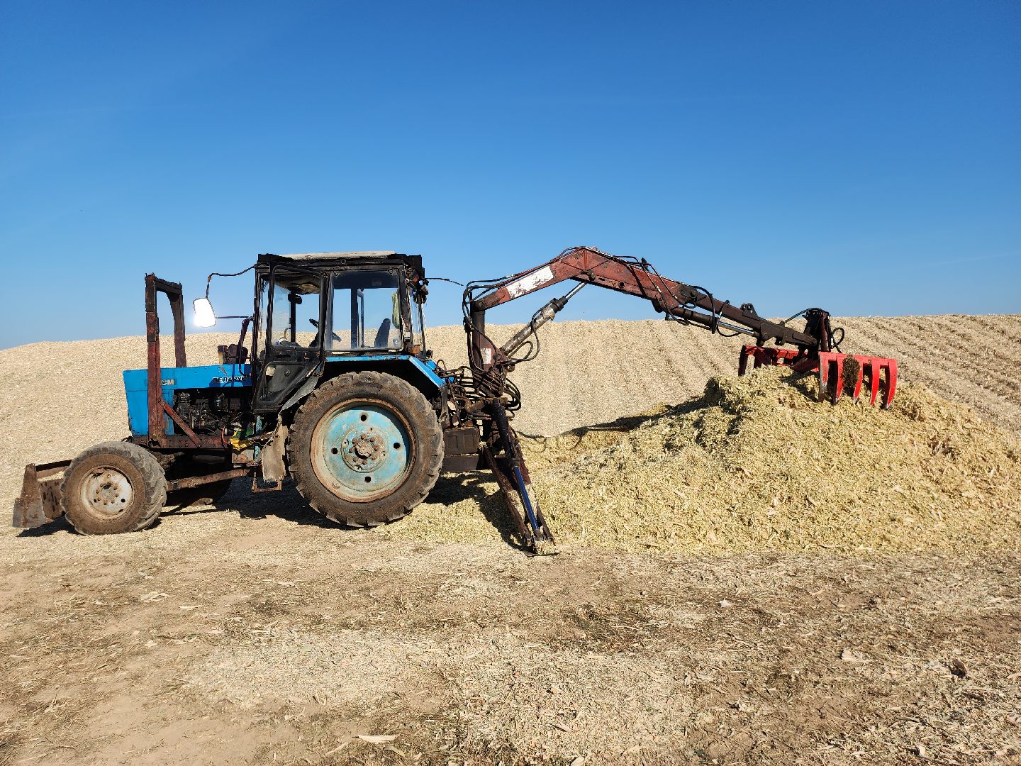сельское хозяйство, руза, рузское молоко, сбор урожая, рузский городской округ, агрохолдинг рузское молоко, кукуруза,