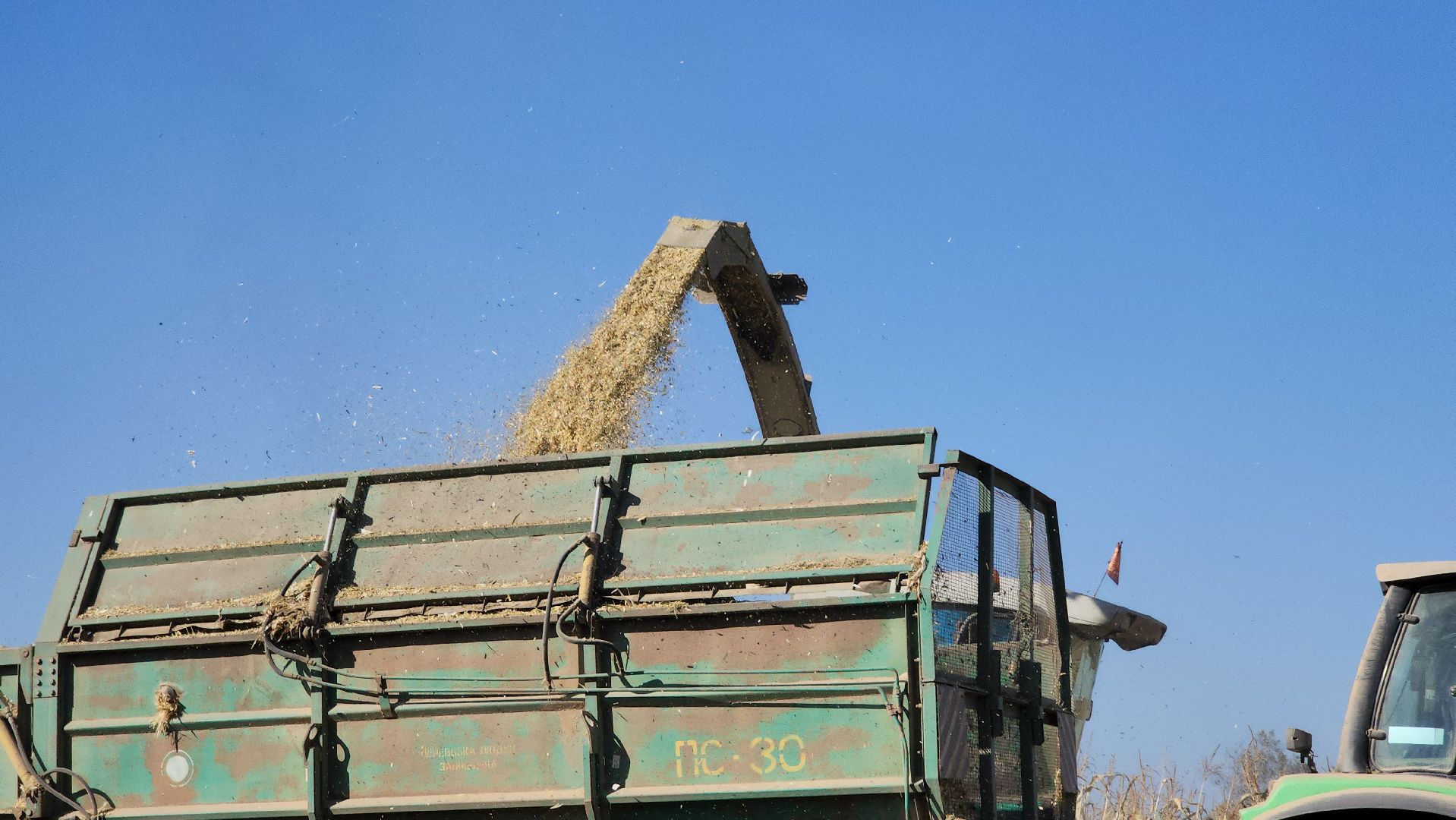 сельское хозяйство, руза, рузское молоко, сбор урожая, рузский городской округ, агрохолдинг рузское молоко, кукуруза,