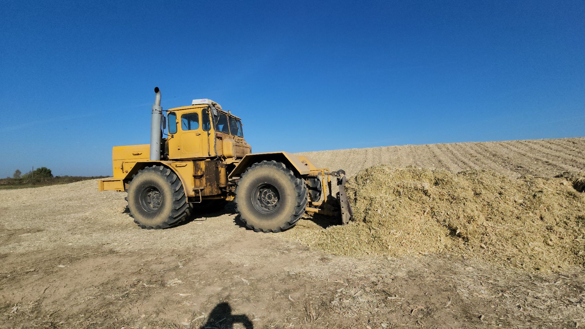 сельское хозяйство, руза, рузское молоко, сбор урожая, рузский городской округ, агрохолдинг рузское молоко, кукуруза,