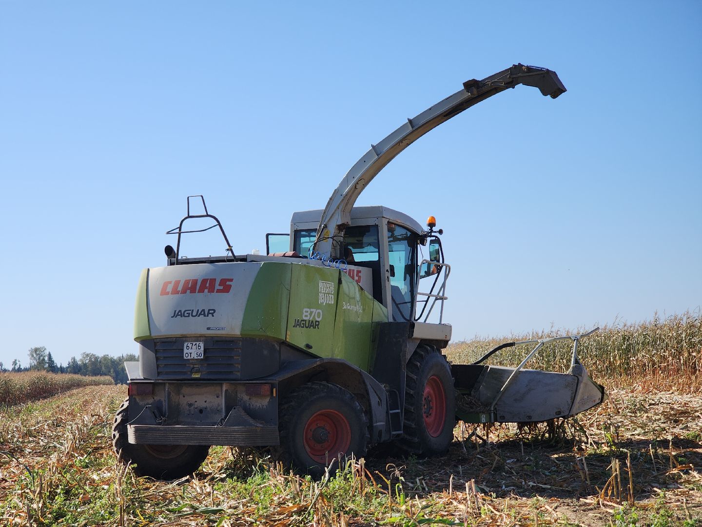 сельское хозяйство, руза, рузское молоко, сбор урожая, рузский городской округ, агрохолдинг рузское молоко, кукуруза,