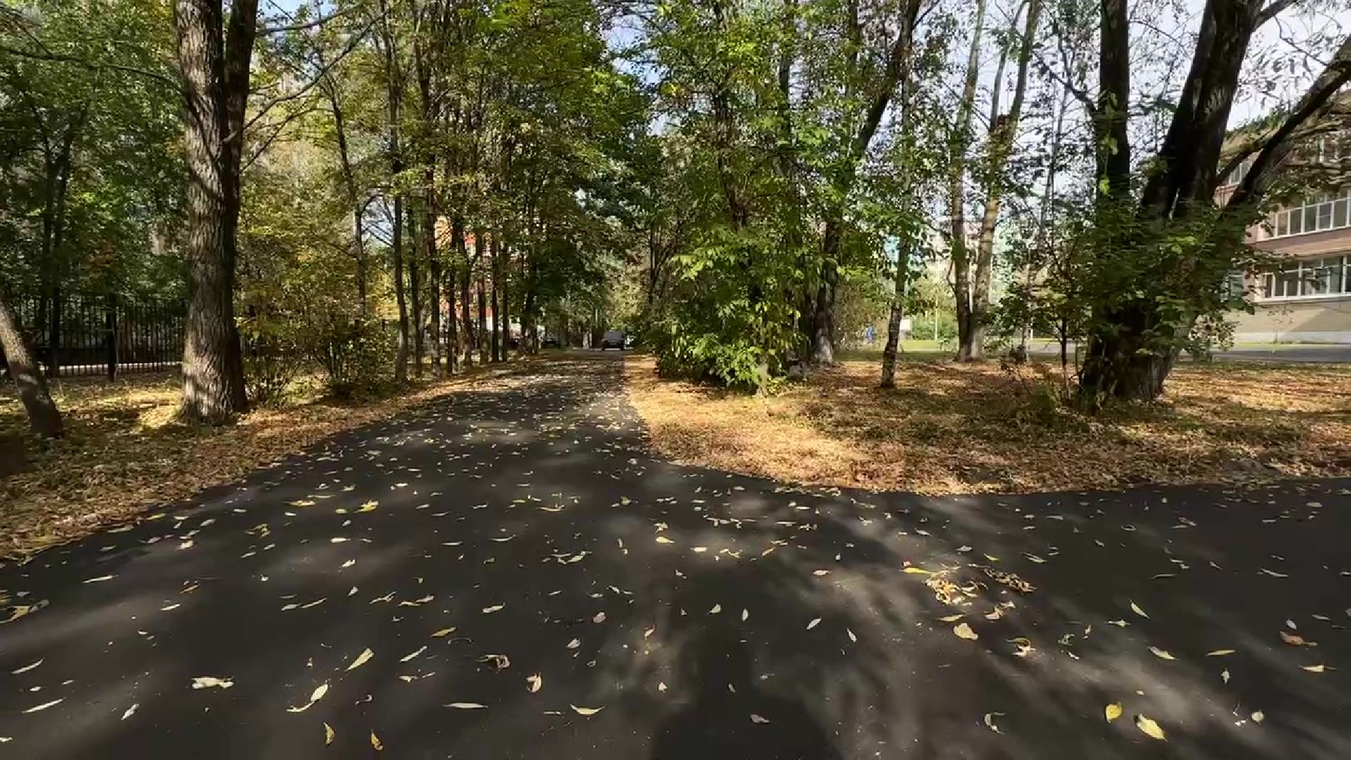 Реутов, жалоба, добродел, школа 6, асфальт, новое полотно, пирог,