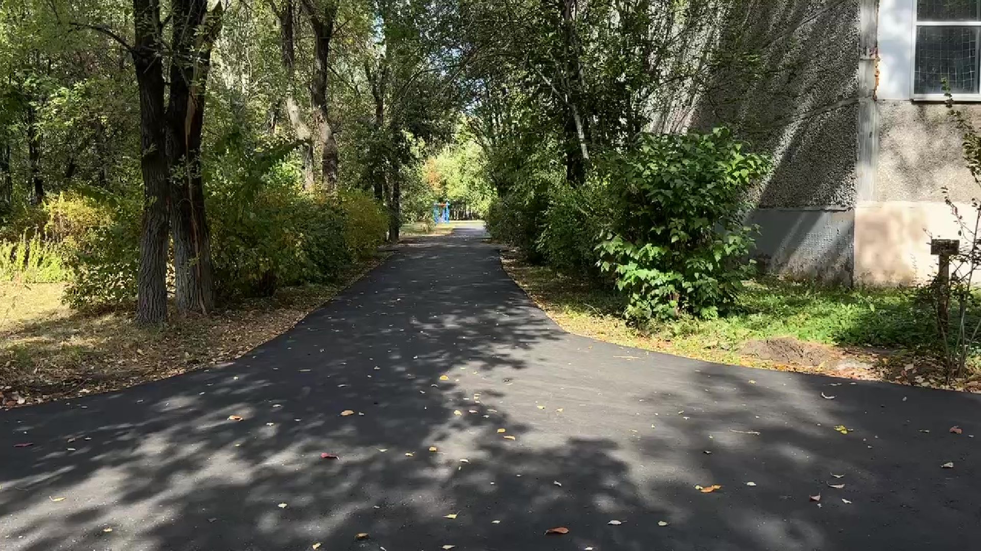 Реутов, жалоба, добродел, школа 6, асфальт, новое полотно, пирог,