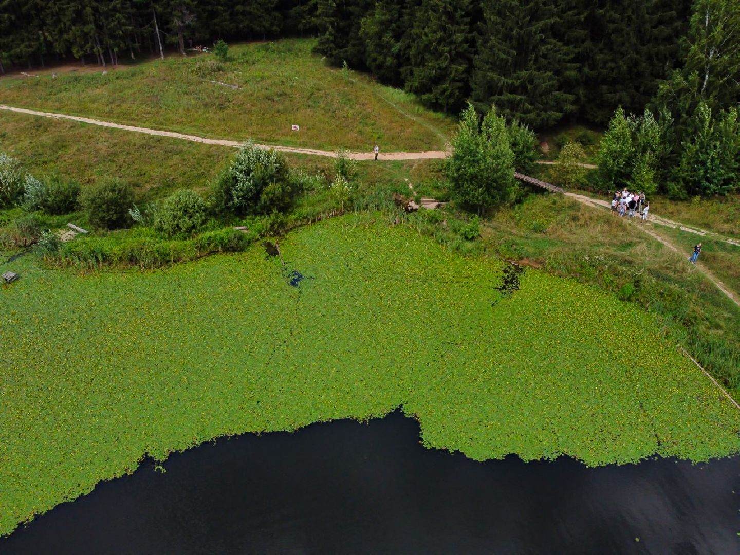 Сергиев Посад, Сергиево-Посадский городской округ, Благоустройство, Парки в лесу, Лесопарк, Загорское море, Зона отдыха, Пляж, Озеро