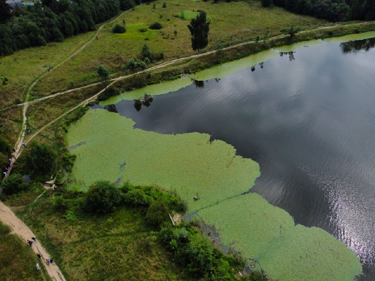 Сергиев Посад, Сергиево-Посадский городской округ, Благоустройство, Парки в лесу, Лесопарк, Загорское море, Зона отдыха, Пляж, Озеро