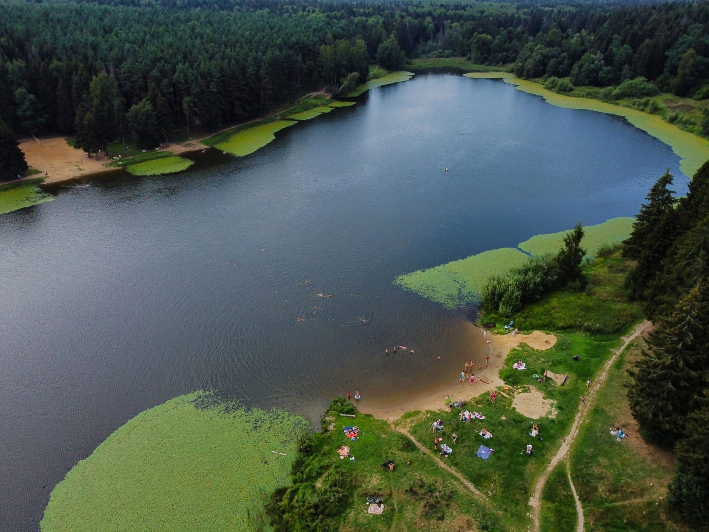 Сергиев Посад, Сергиево-Посадский городской округ, Благоустройство, Парки в лесу, Лесопарк, Загорское море, Зона отдыха, Пляж, Озеро