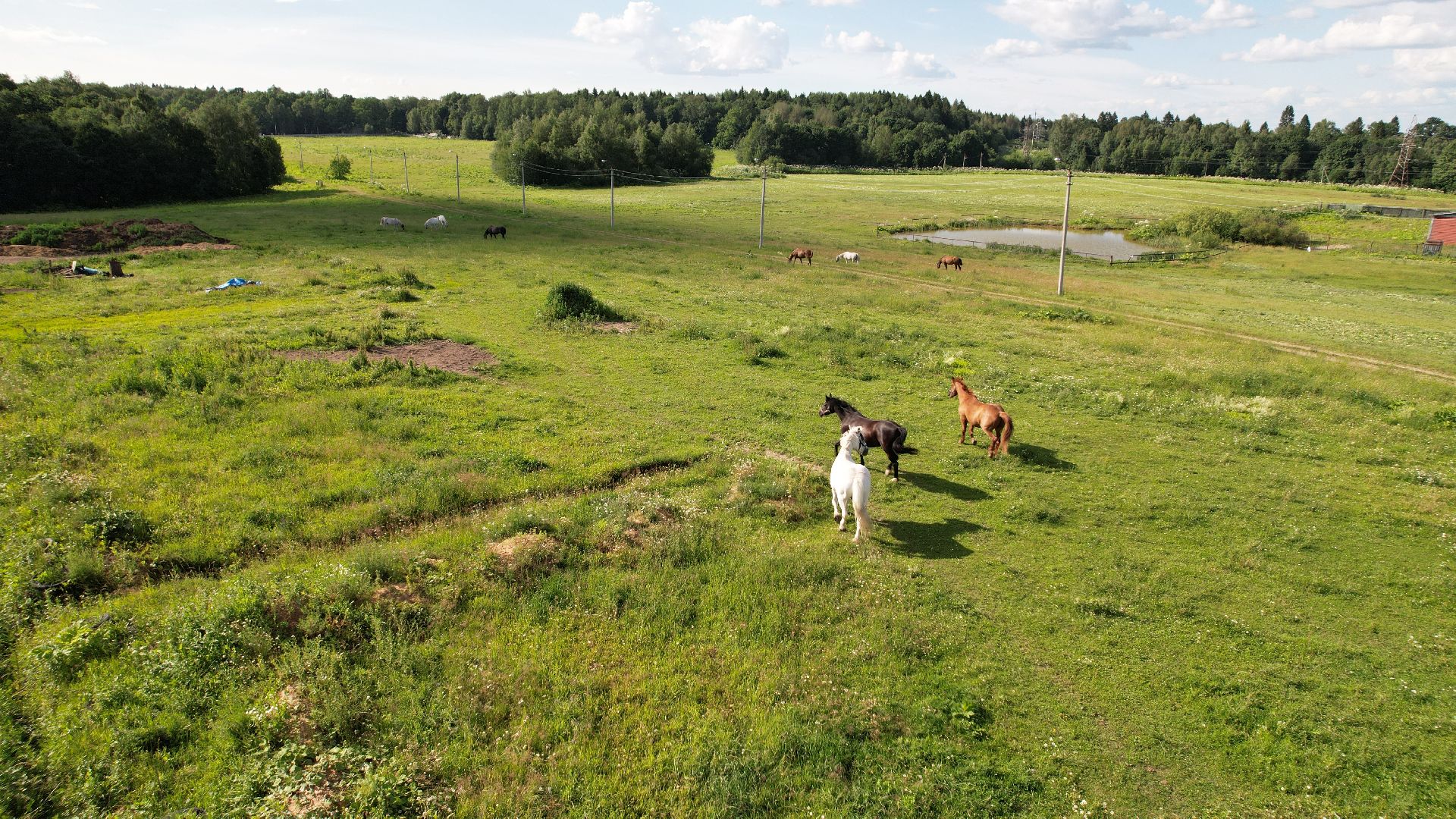 видео с коптера, туризм, спорт,