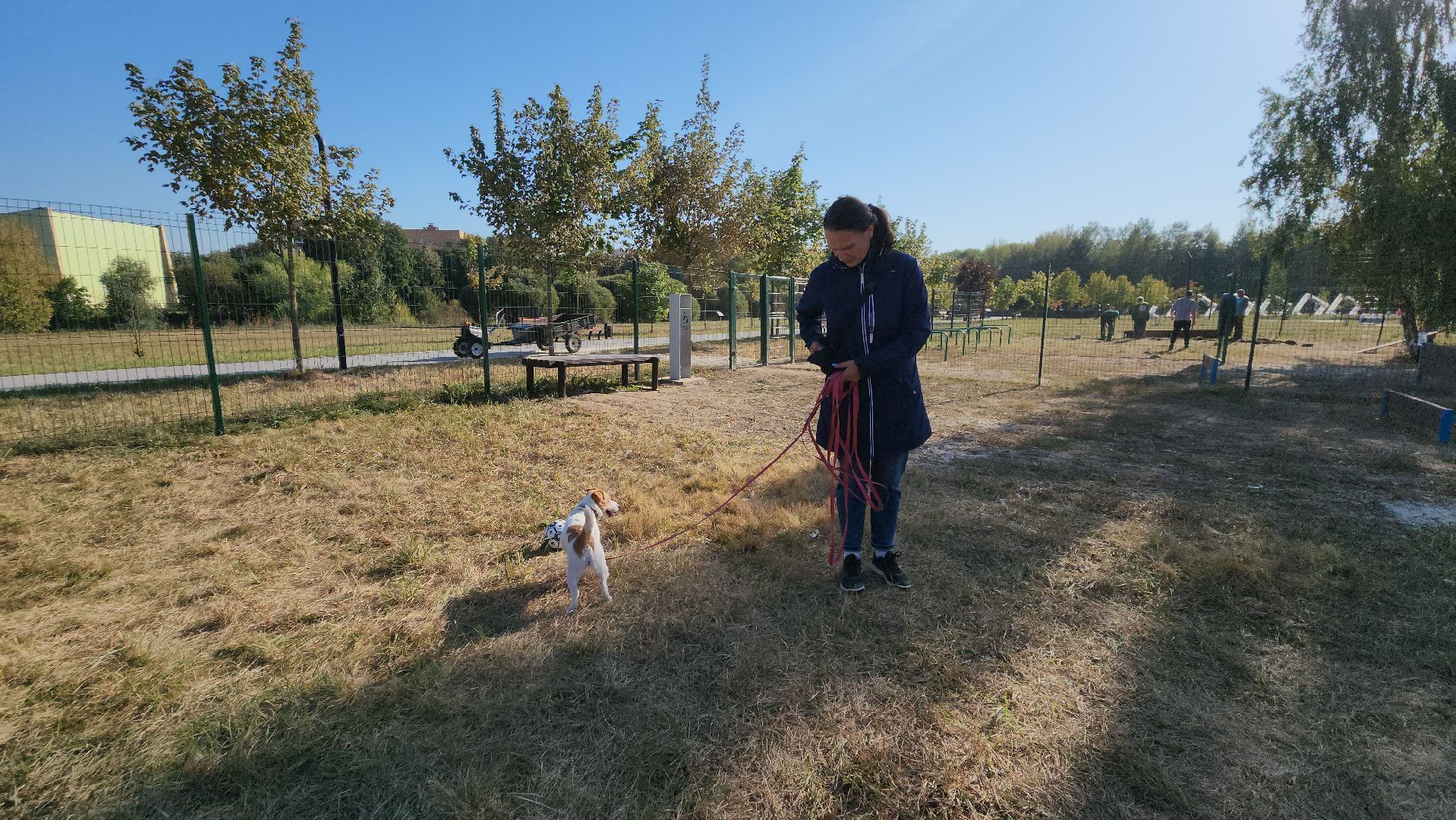 площадка для выгула собак, Долгопрудный, благоустройство,