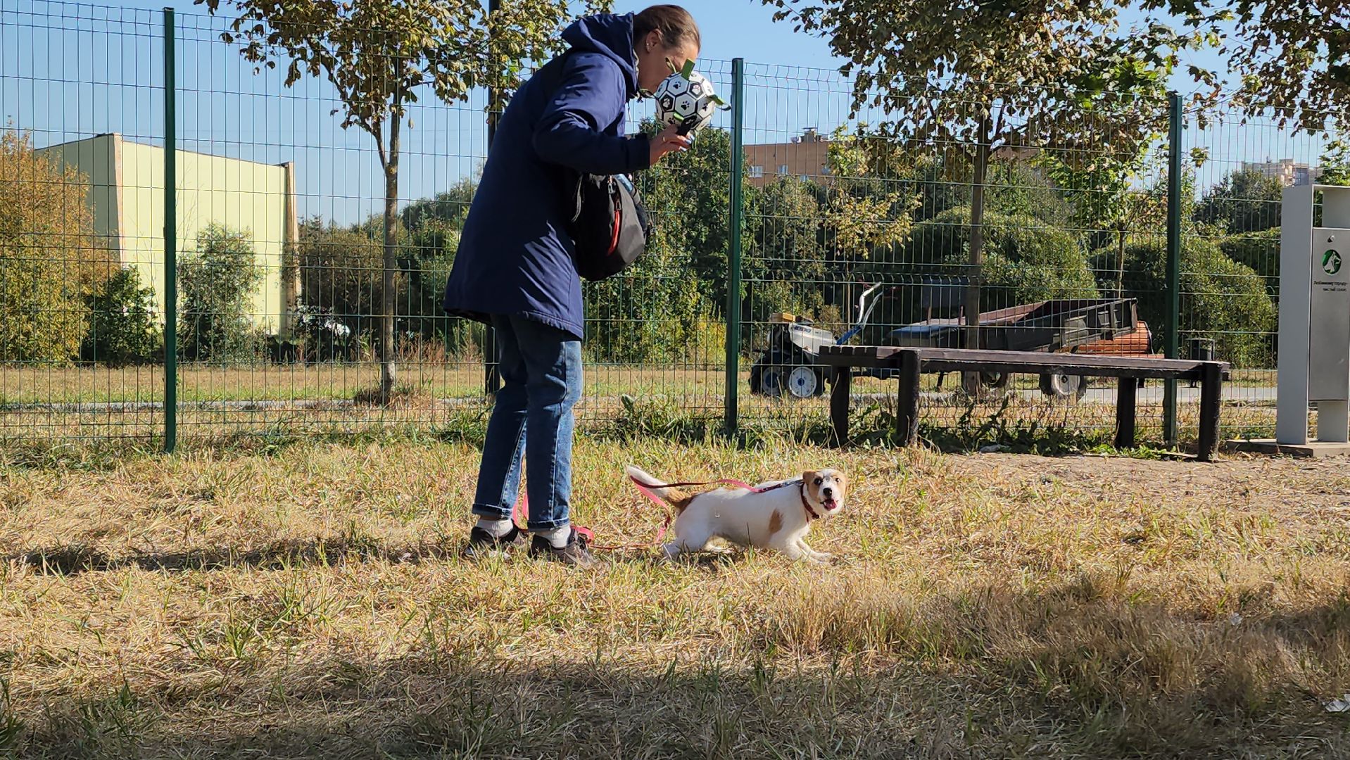 площадка для выгула собак, Долгопрудный, благоустройство,