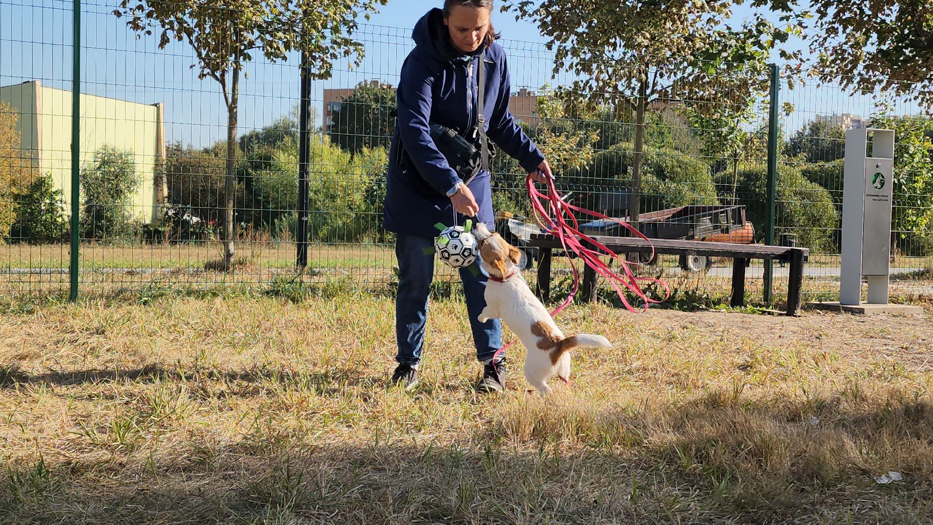 площадка для выгула собак, Долгопрудный, благоустройство,