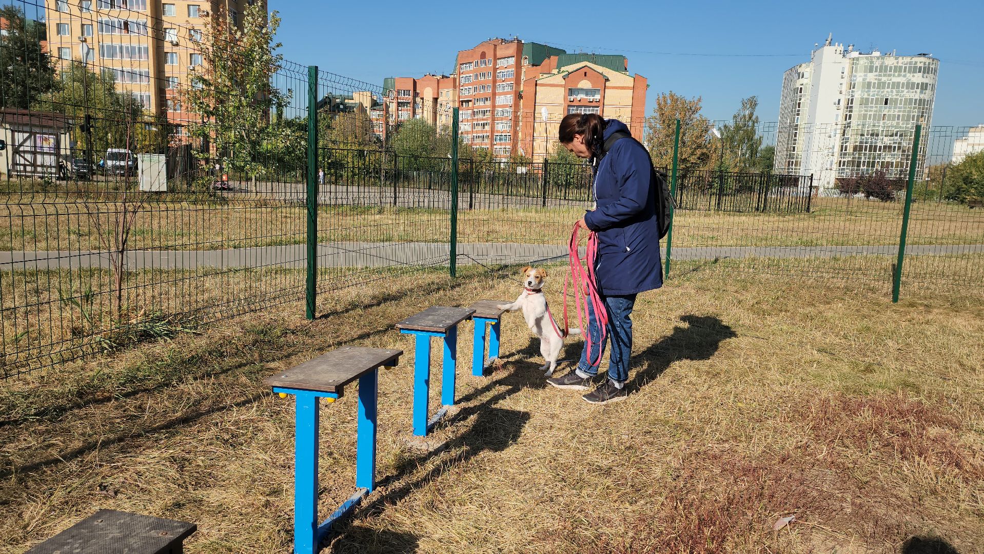 площадка для выгула собак, Долгопрудный, благоустройство,