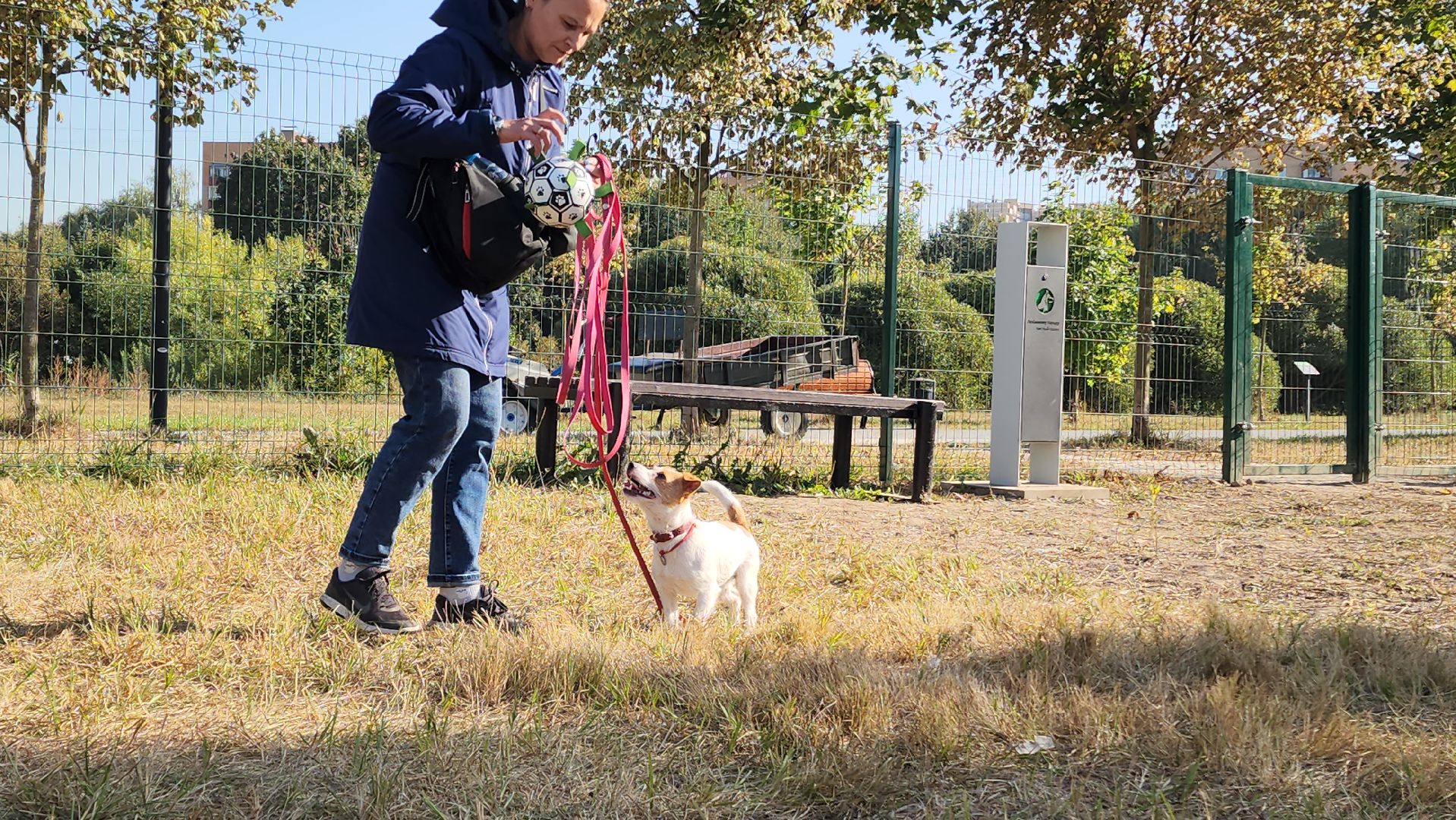 площадка для выгула собак, Долгопрудный, благоустройство,