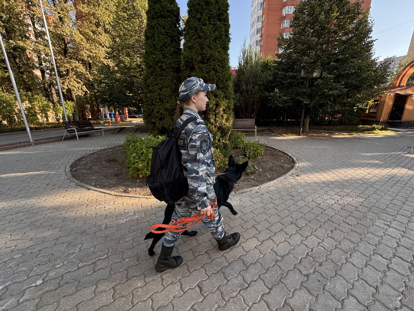 Одинцово, Эвакуация людей, МГИМО,