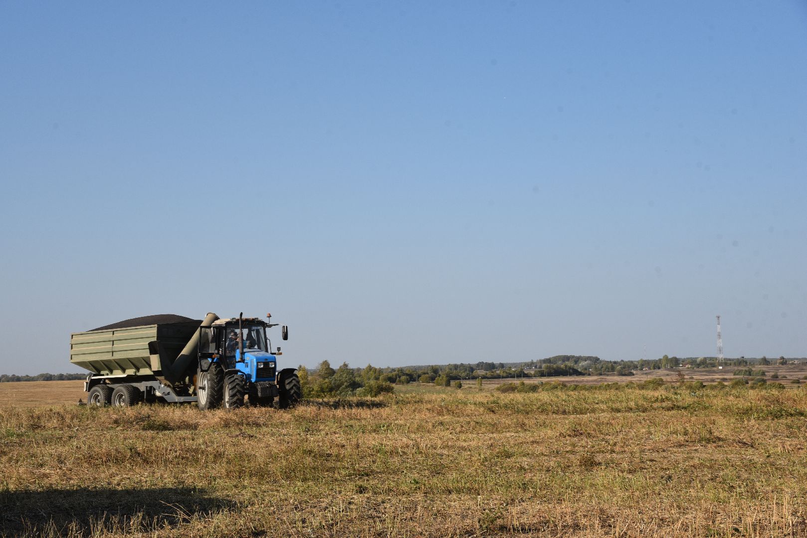 лотошино, сельское хозяйство, урожай, уборка урожая,
