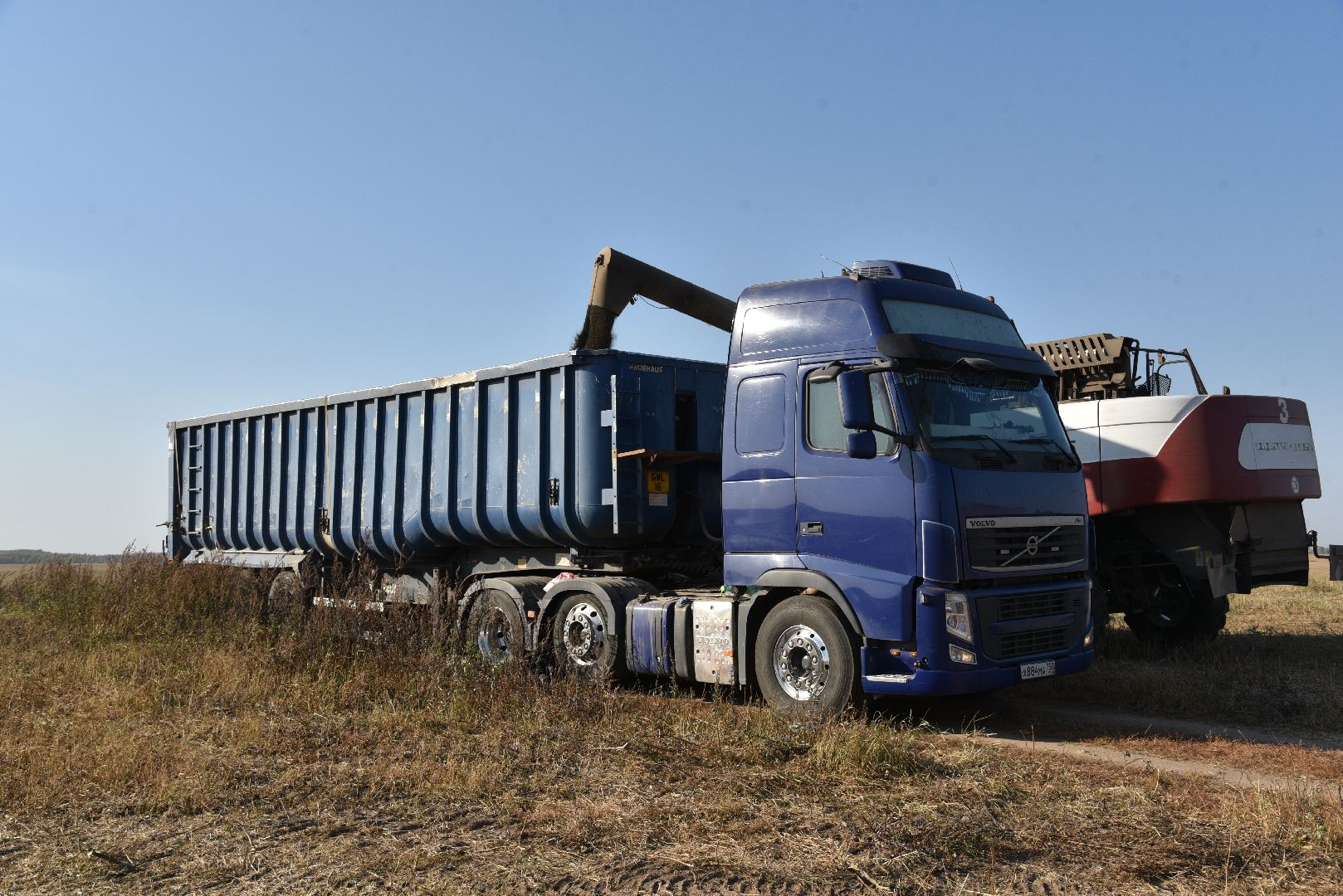 лотошино, сельское хозяйство, урожай, уборка урожая,