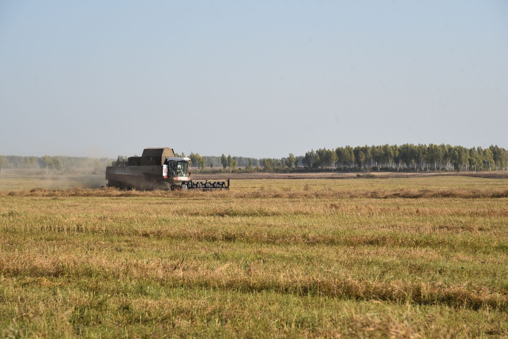 лотошино, сельское хозяйство, урожай, уборка урожая,