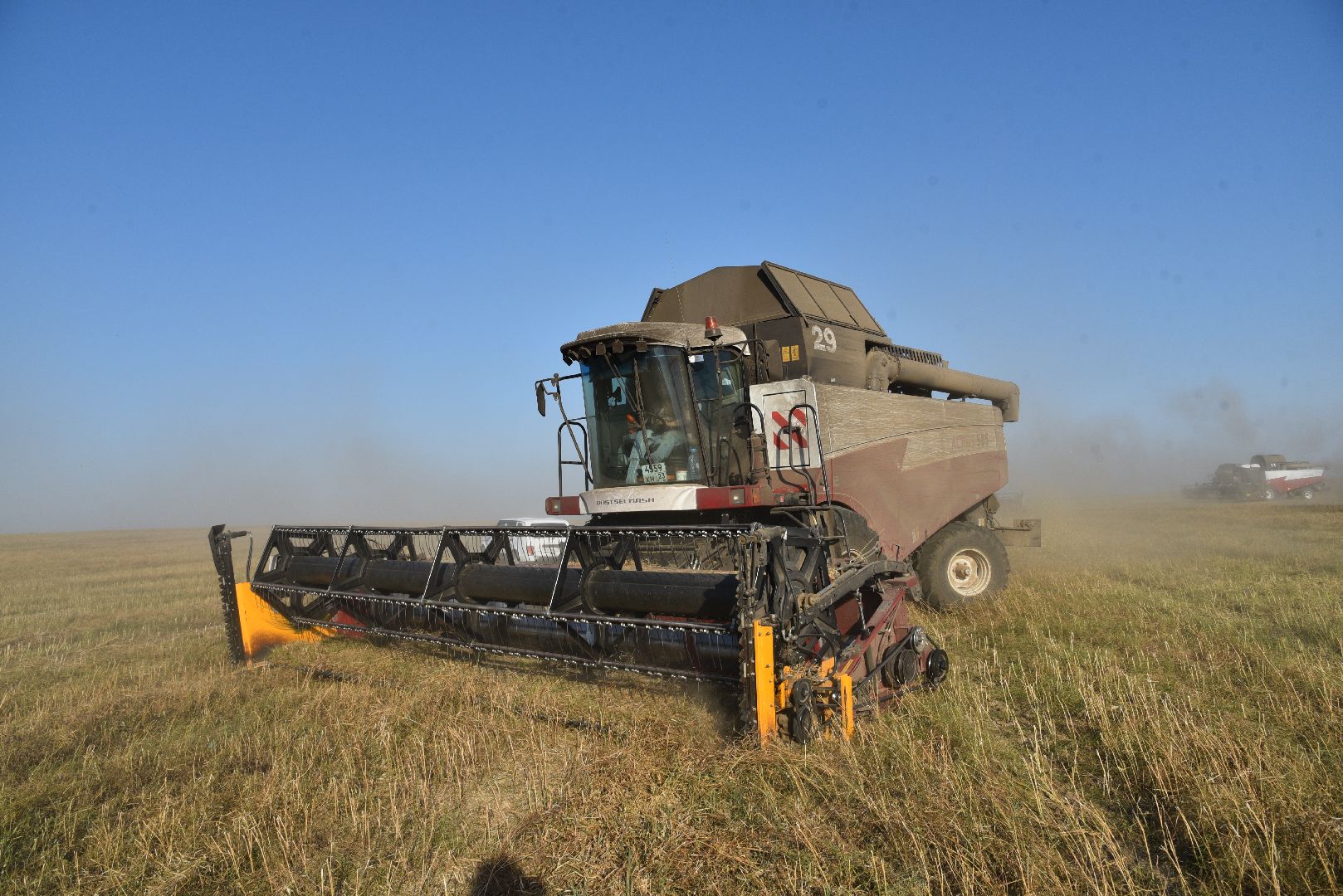 лотошино, сельское хозяйство, урожай, уборка урожая,