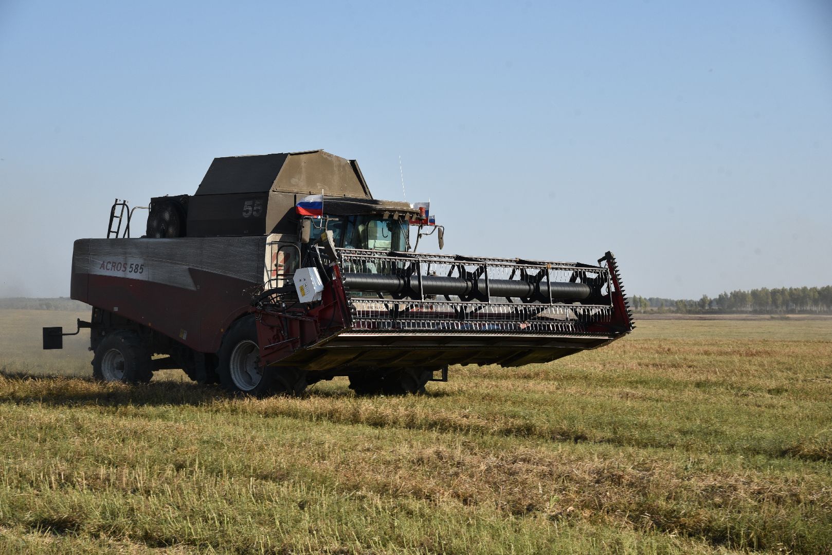 лотошино, сельское хозяйство, урожай, уборка урожая,