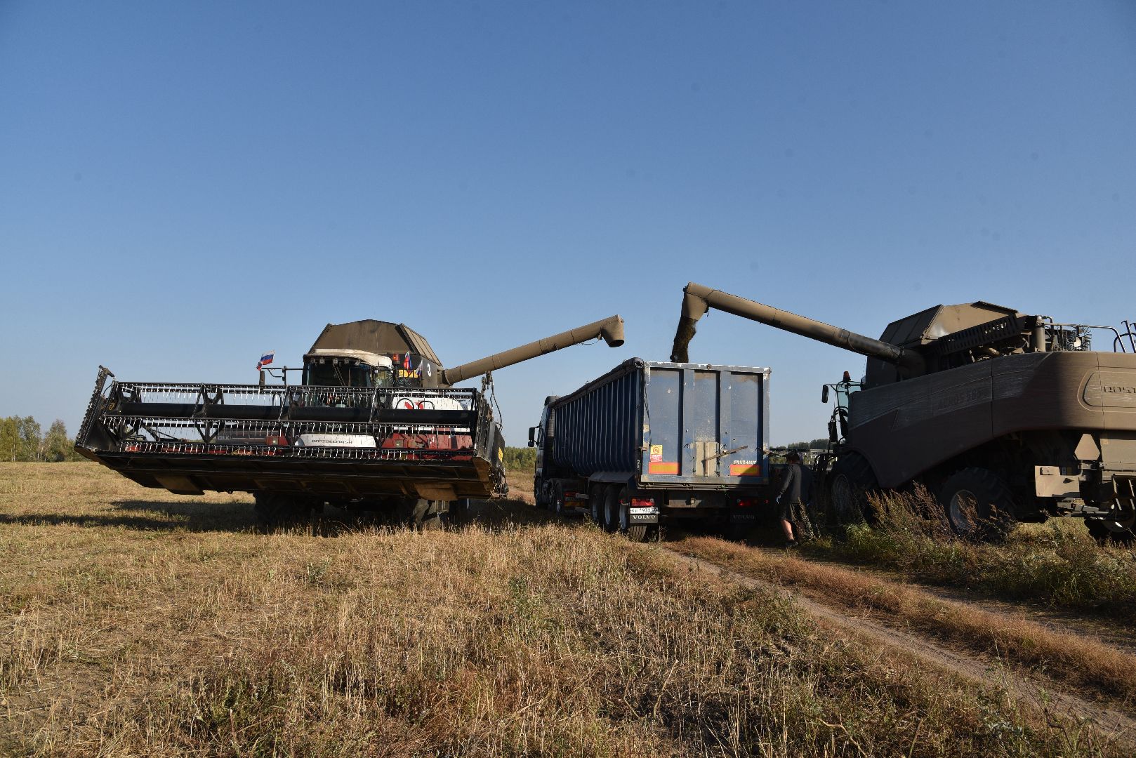 лотошино, сельское хозяйство, урожай, уборка урожая,