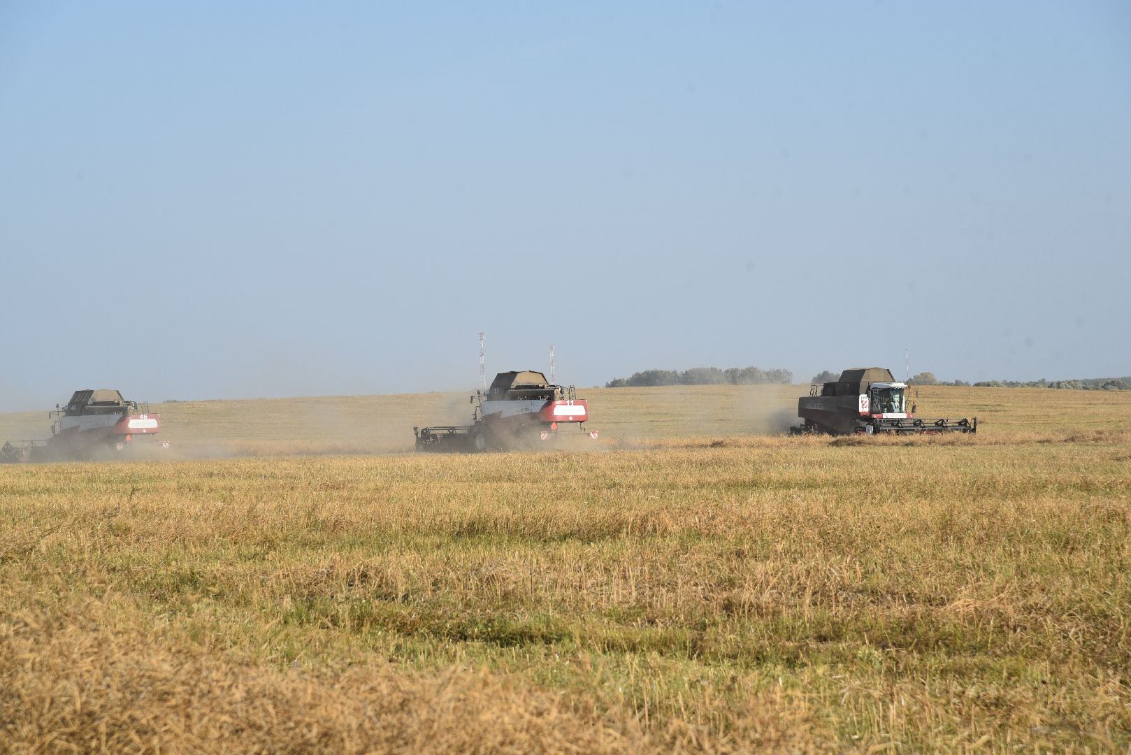 лотошино, сельское хозяйство, урожай, уборка урожая,