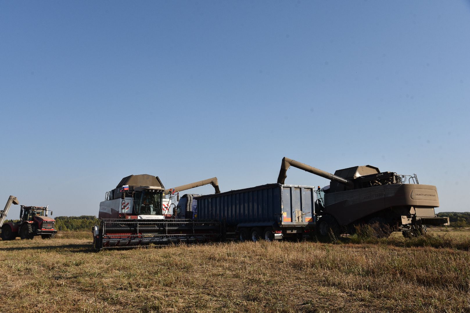 лотошино, сельское хозяйство, урожай, уборка урожая,