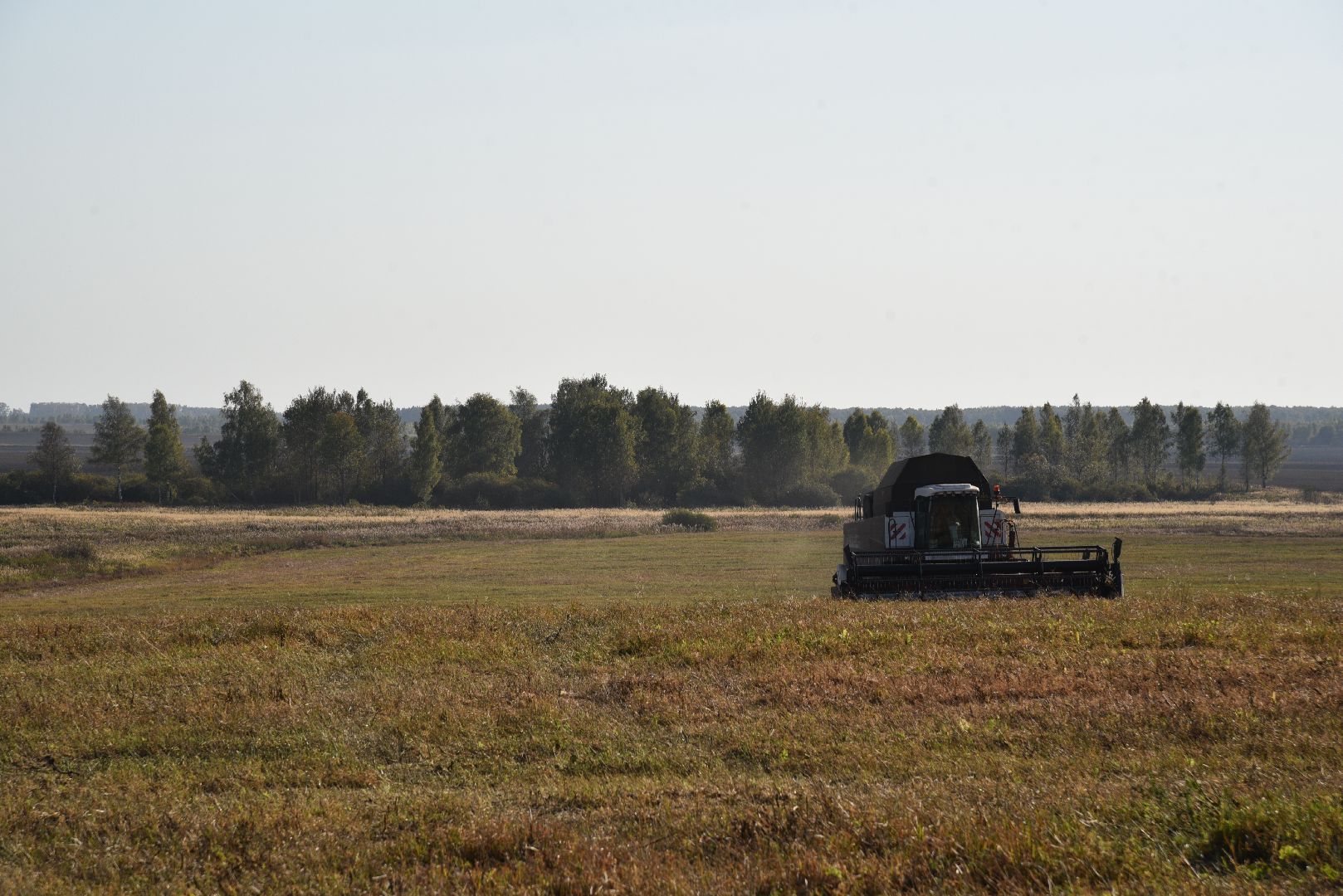 лотошино, сельское хозяйство, урожай, уборка урожая,