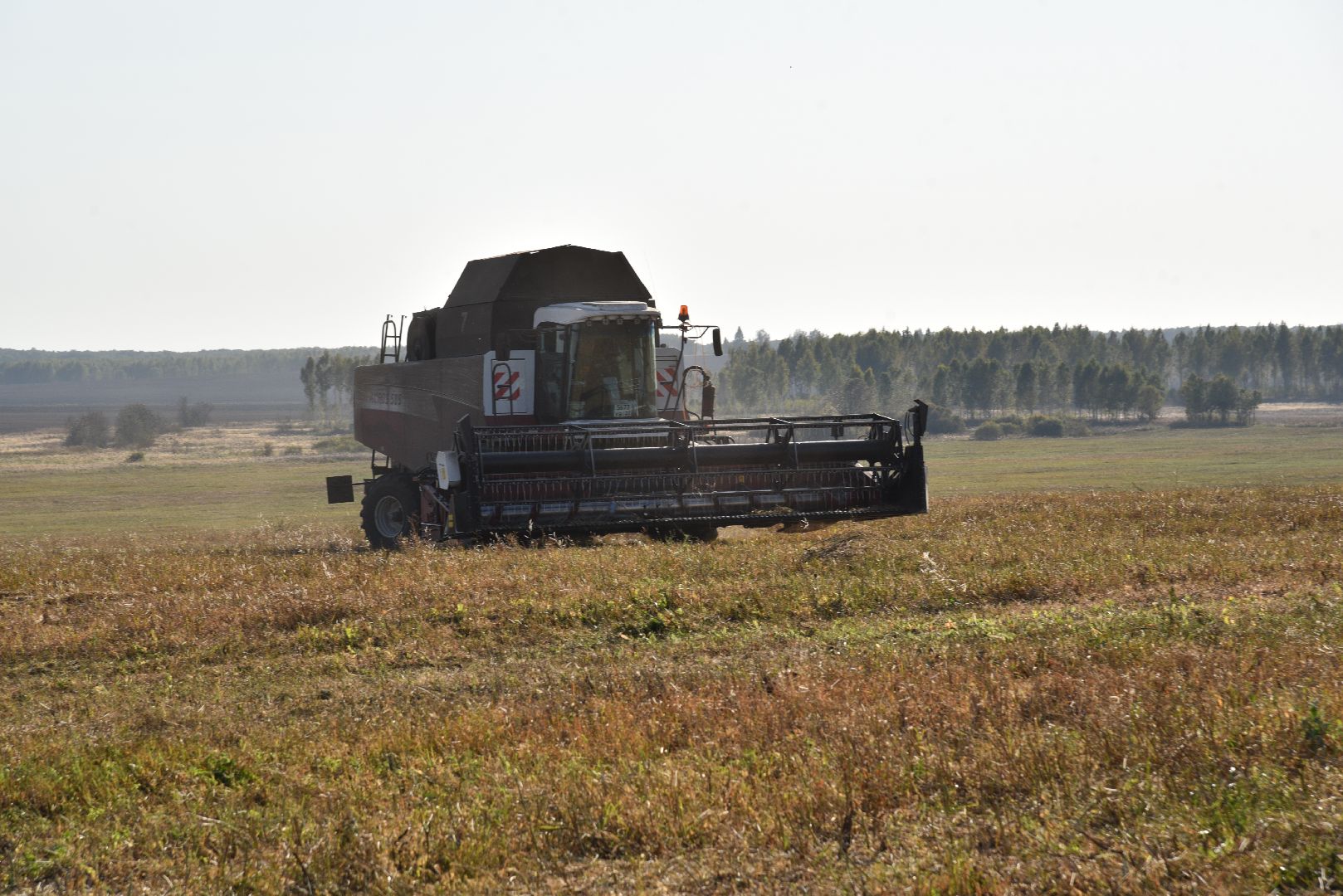 лотошино, сельское хозяйство, урожай, уборка урожая,