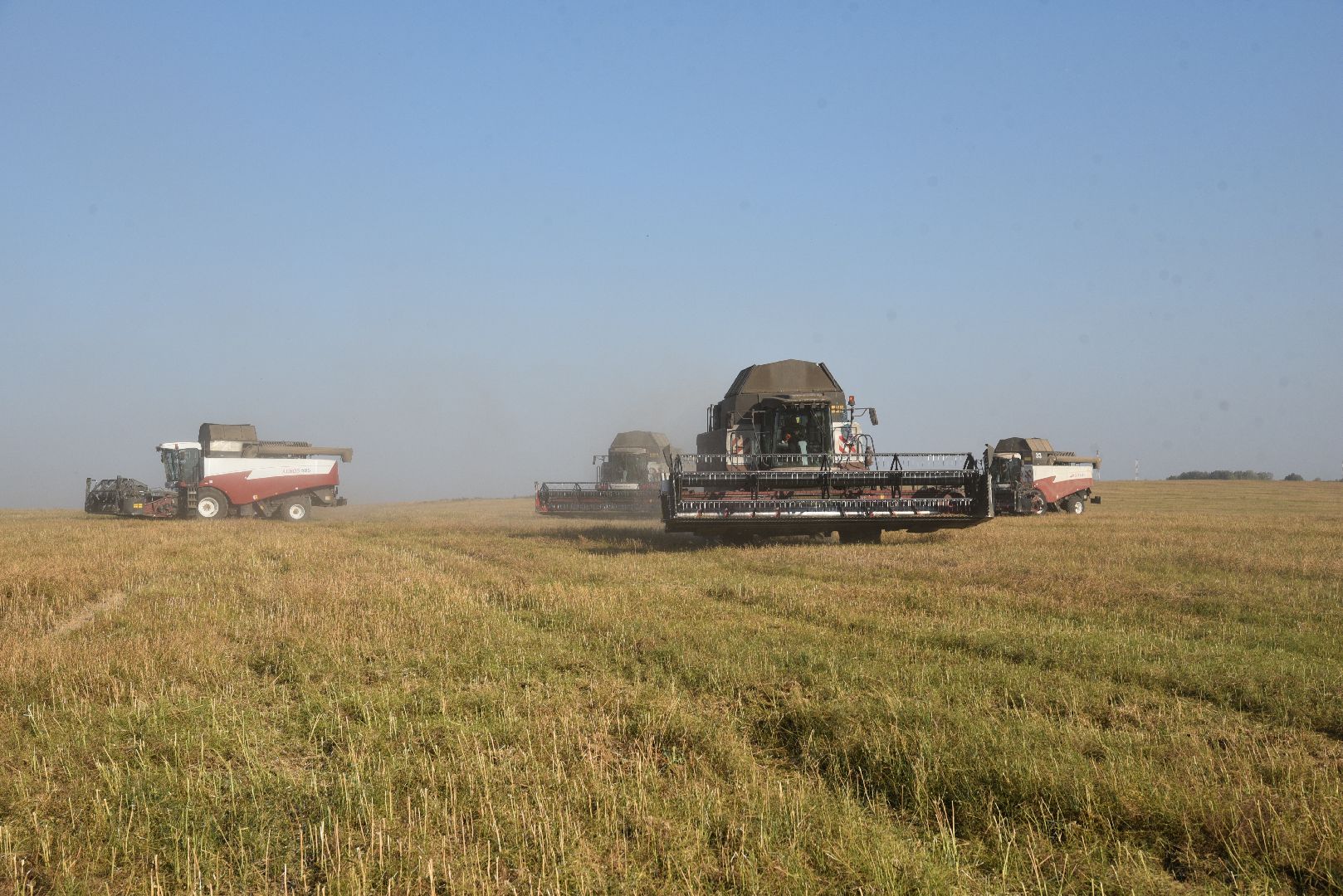 лотошино, сельское хозяйство, урожай, уборка урожая,