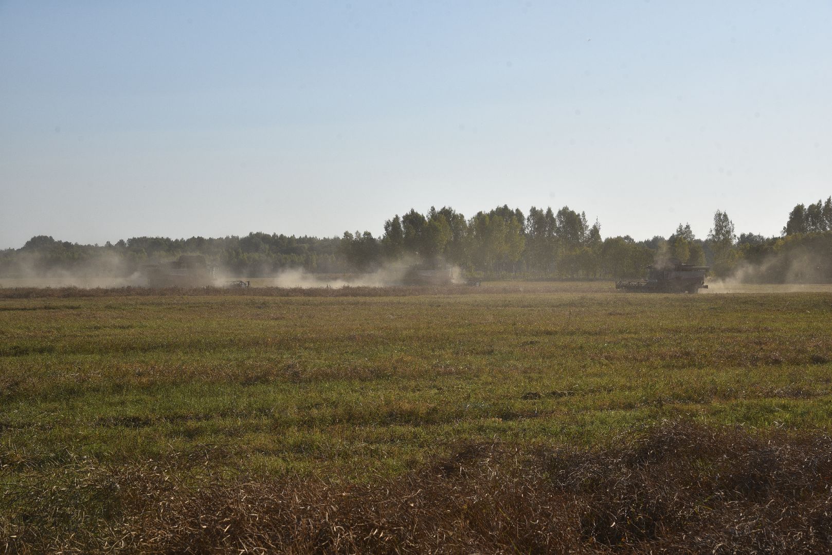 лотошино, сельское хозяйство, урожай, уборка урожая,