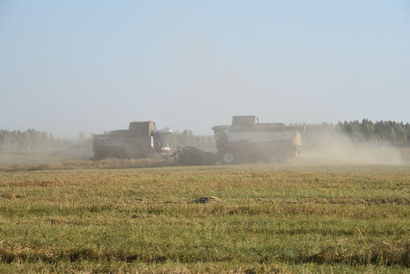 лотошино, сельское хозяйство, урожай, уборка урожая,