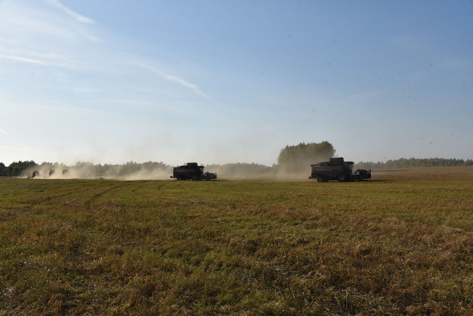 лотошино, сельское хозяйство, урожай, уборка урожая,