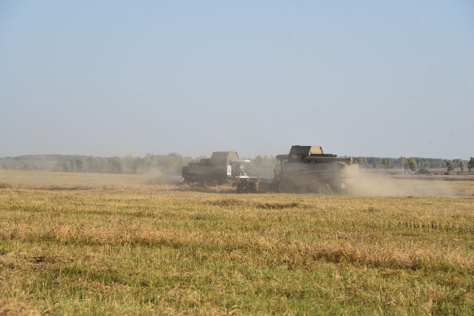 лотошино, сельское хозяйство, урожай, уборка урожая,