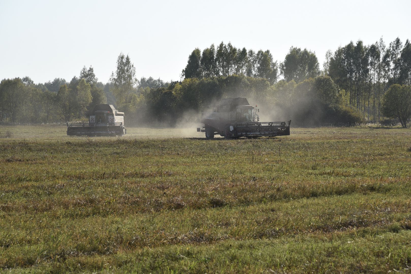 лотошино, сельское хозяйство, урожай, уборка урожая,