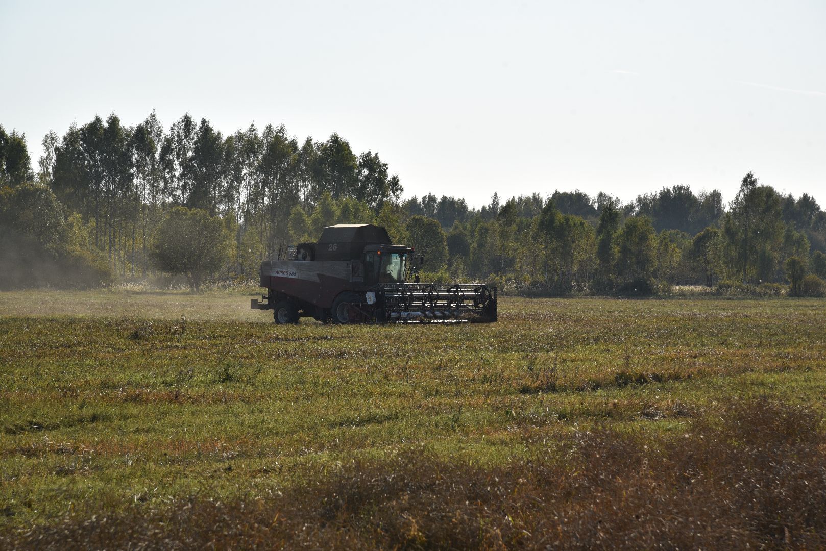 лотошино, сельское хозяйство, урожай, уборка урожая,