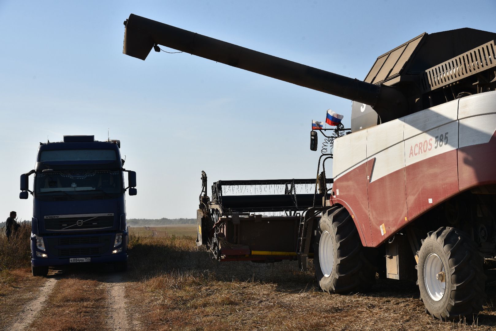 лотошино, сельское хозяйство, урожай, уборка урожая,