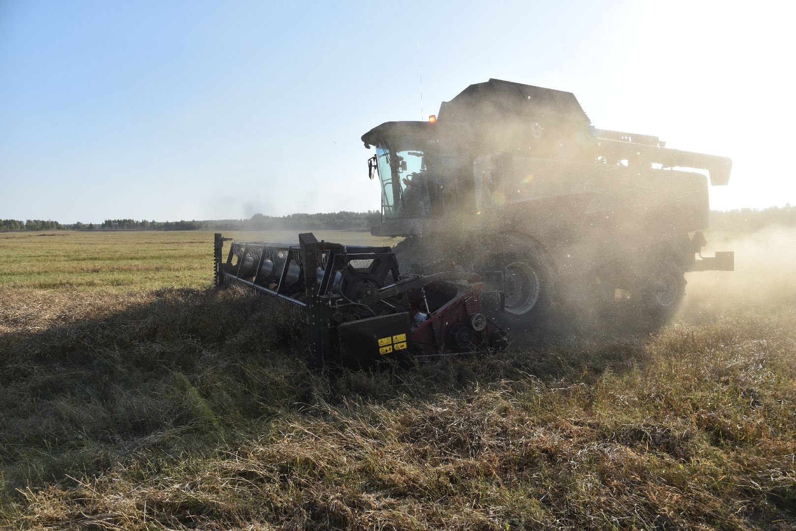 лотошино, сельское хозяйство, урожай, уборка урожая,