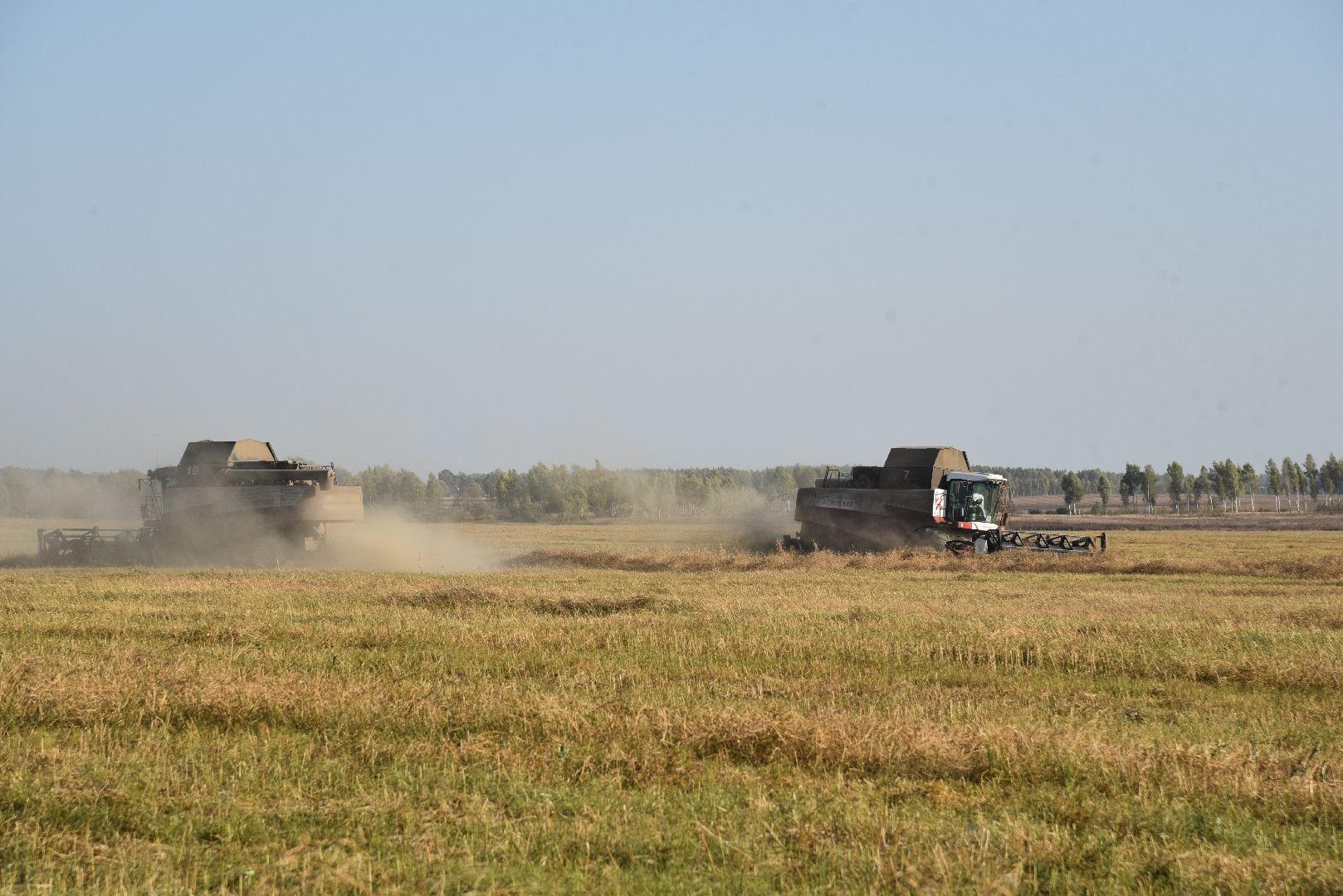 лотошино, сельское хозяйство, урожай, уборка урожая,