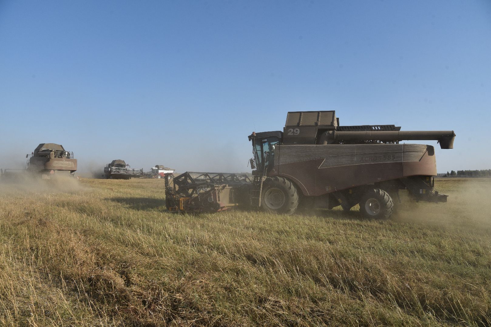 лотошино, сельское хозяйство, урожай, уборка урожая,