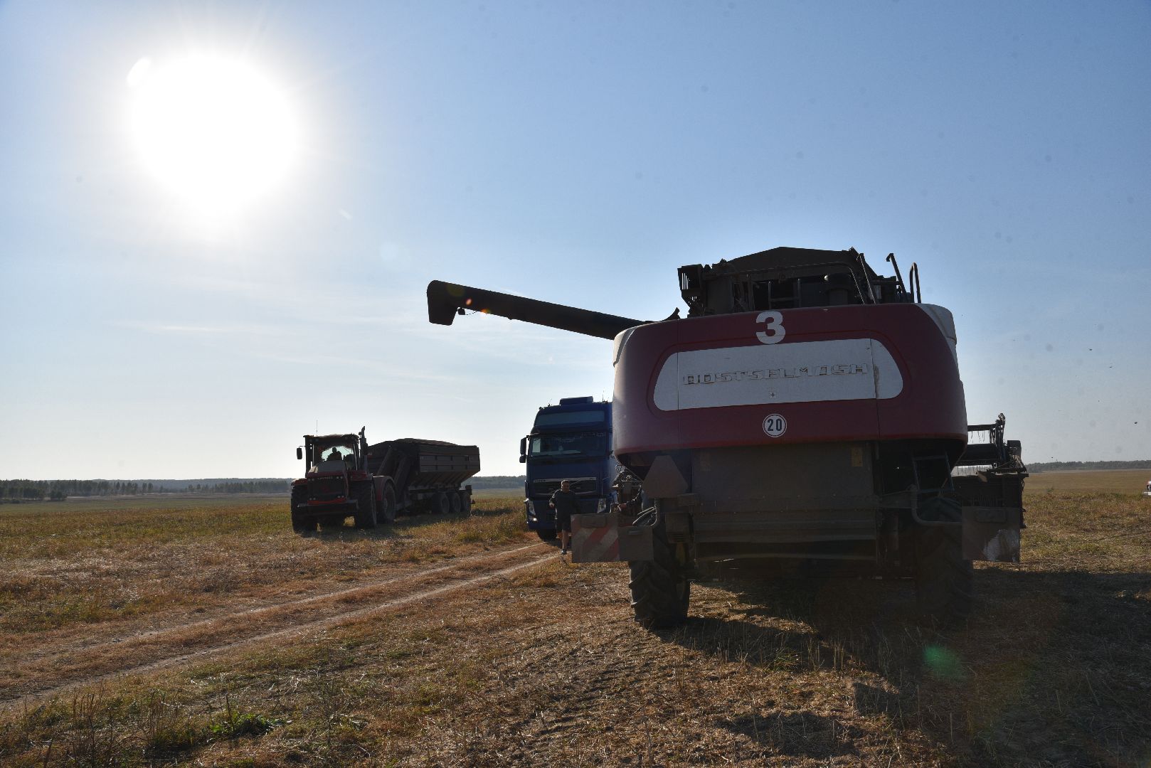 лотошино, сельское хозяйство, урожай, уборка урожая,