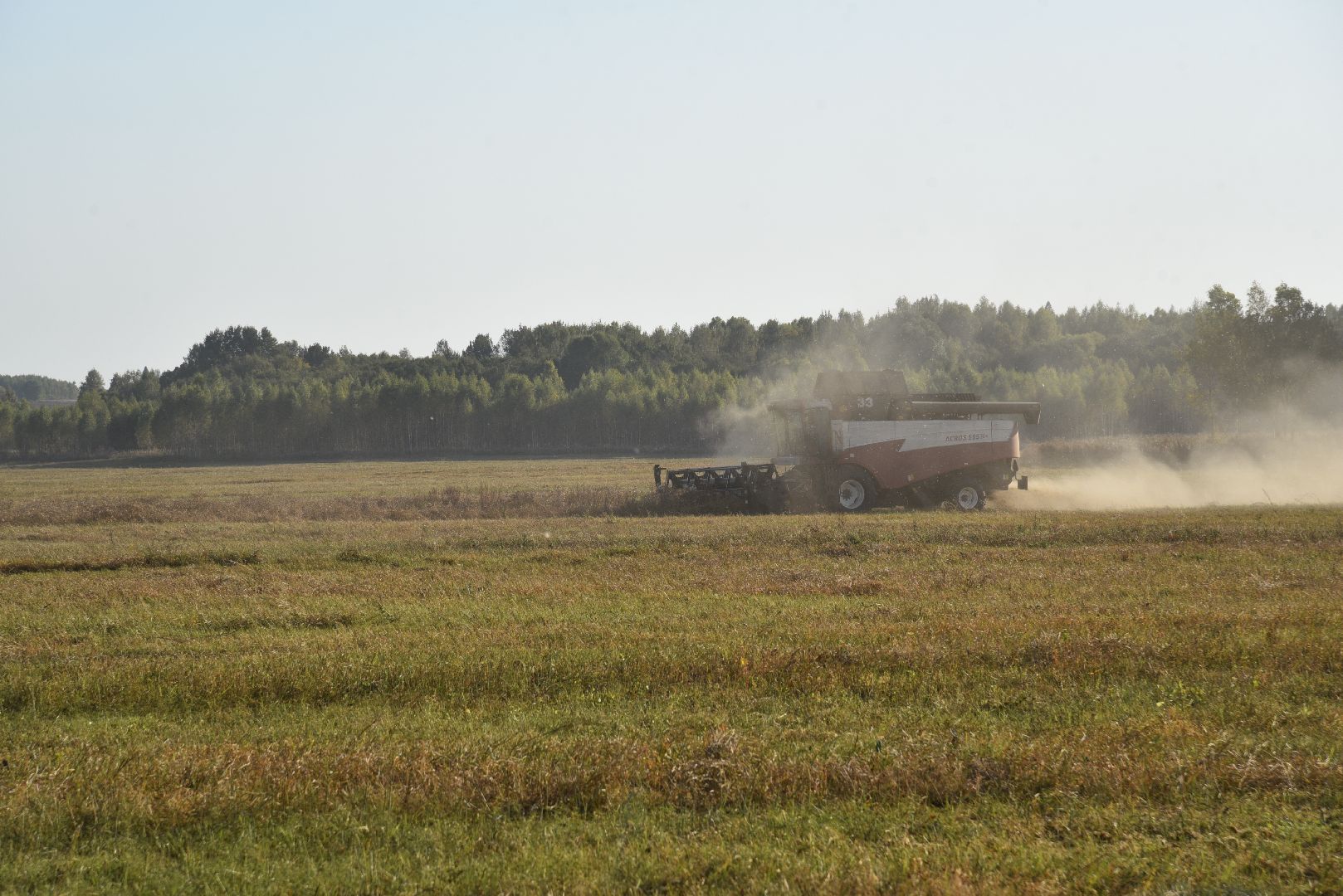 лотошино, сельское хозяйство, урожай, уборка урожая,