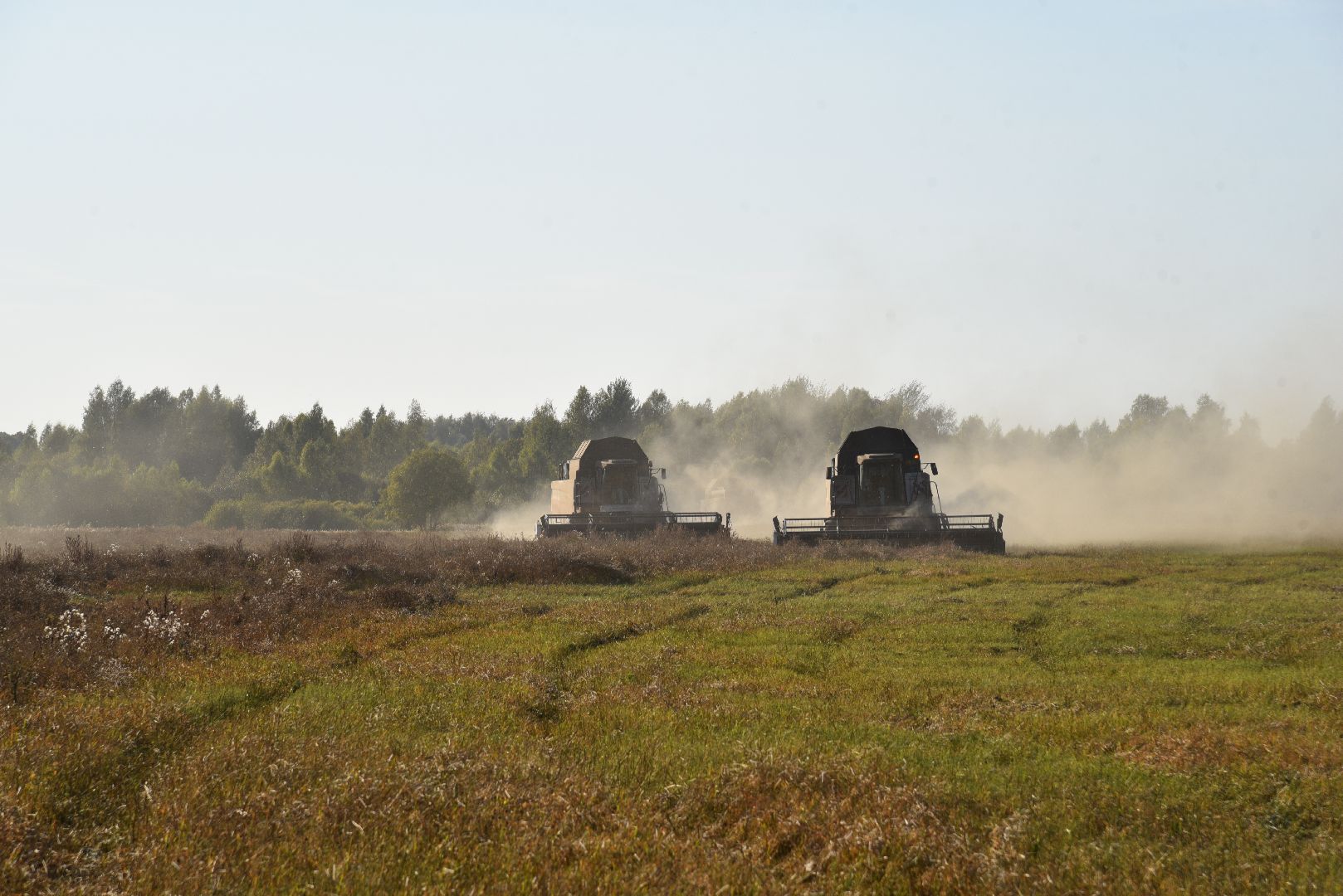 лотошино, сельское хозяйство, урожай, уборка урожая,