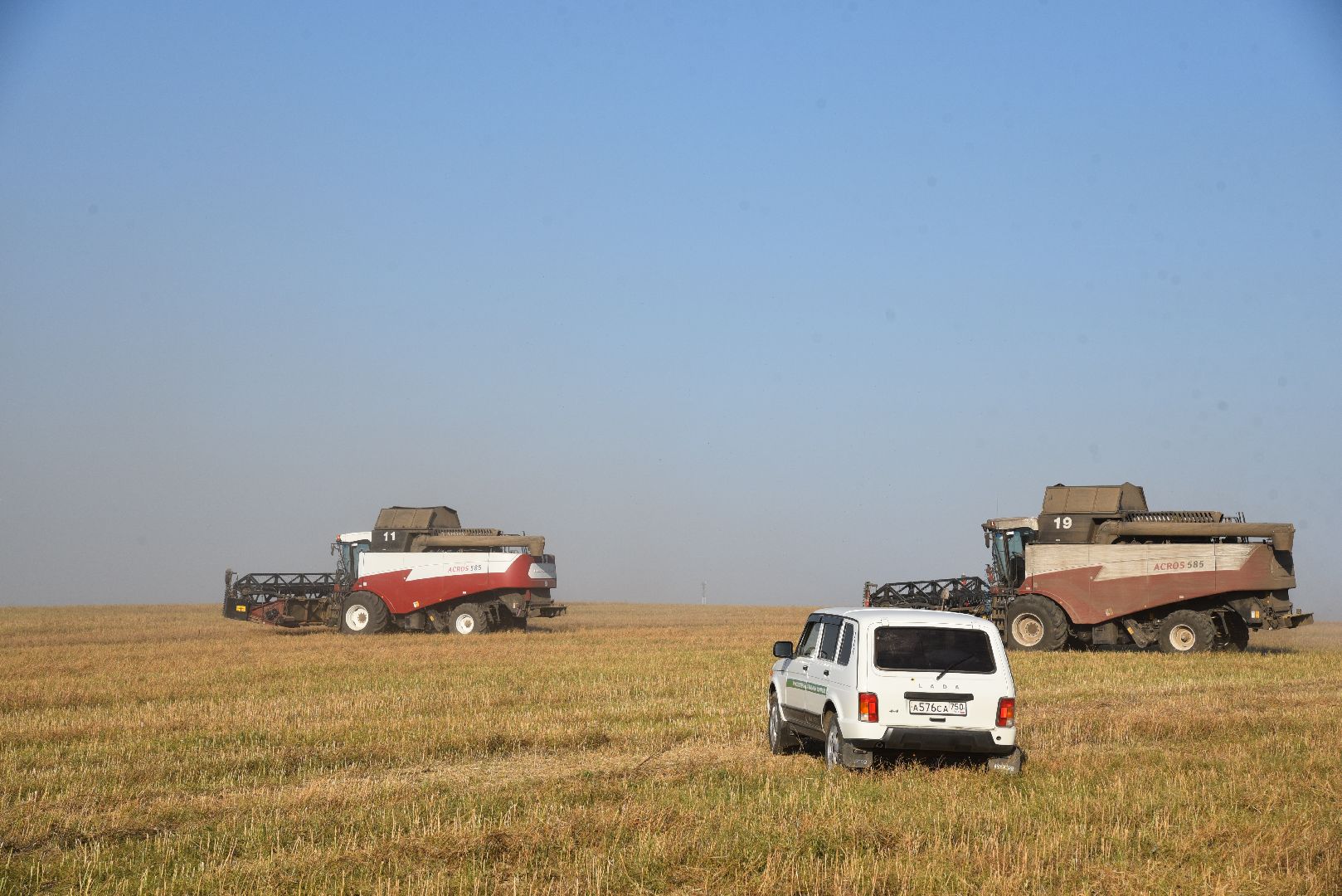 лотошино, сельское хозяйство, урожай, уборка урожая,